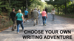 Choose your own writing adventure