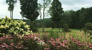 A Meditation for Writers: Conjure a Scene