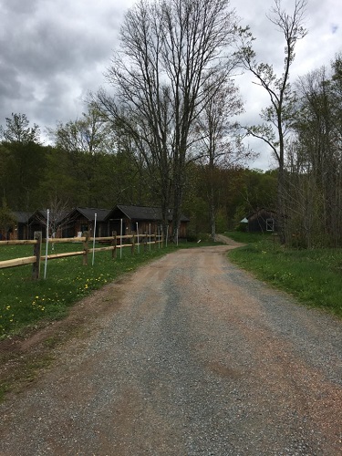 The path leading up to my cabin.