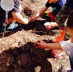 kids exploring