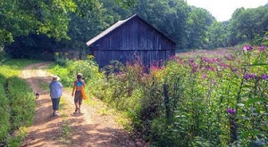 Using Situational Awareness to Help You Write Nature Books for Children