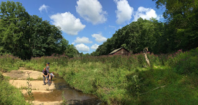 The 2017 Ironweed Festival was sparsely attended, but all agreed that it was the most beautiful ever!