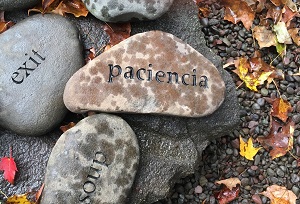 PACIENCIA in the word garden