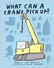 What Can a Crane Pick Up?