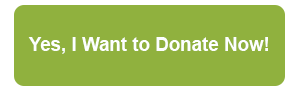 Donate now