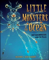 Little Monsters by Heather L. Montgomery