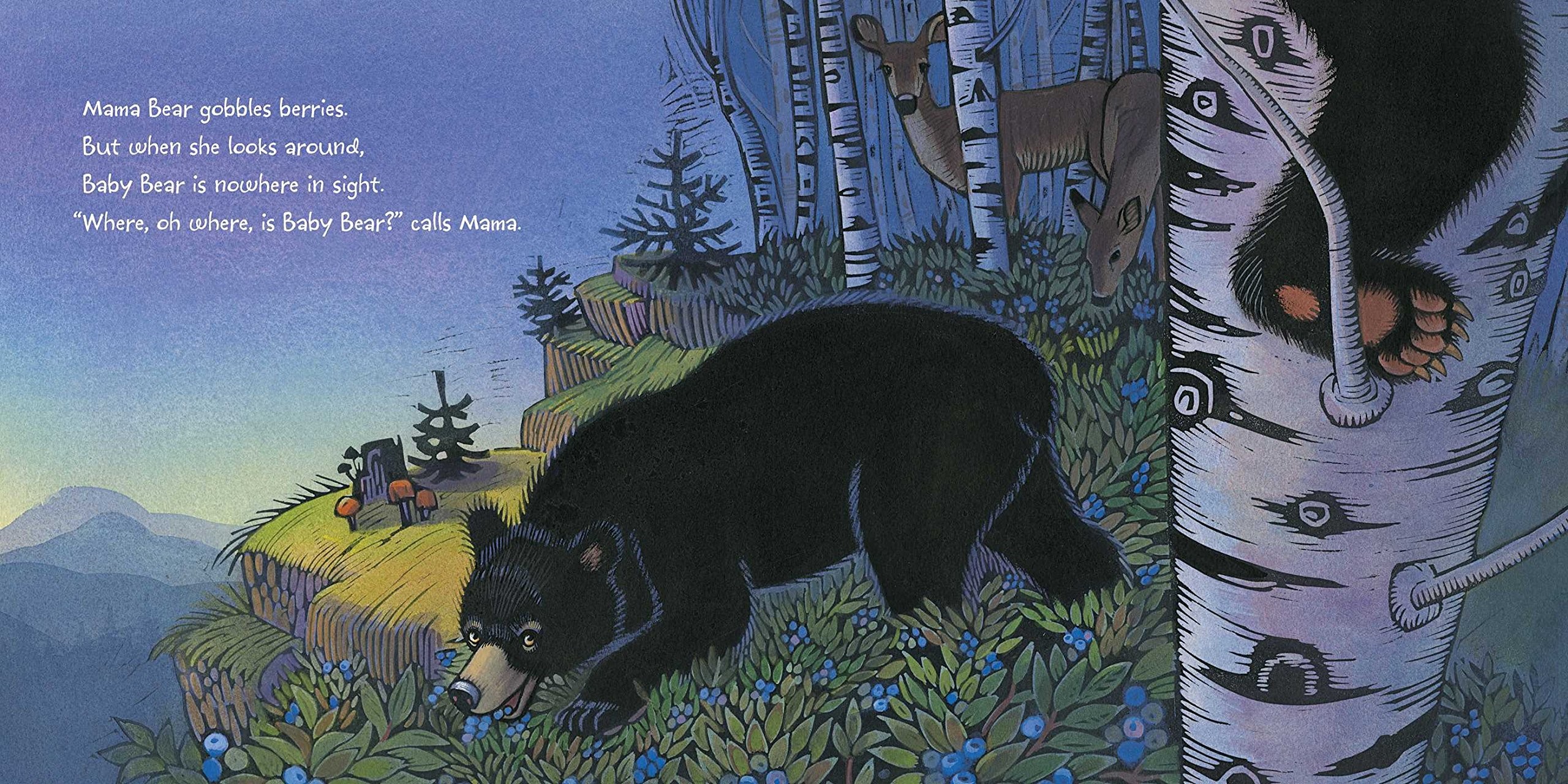 art from Where Oh Where is Baby Bear?
