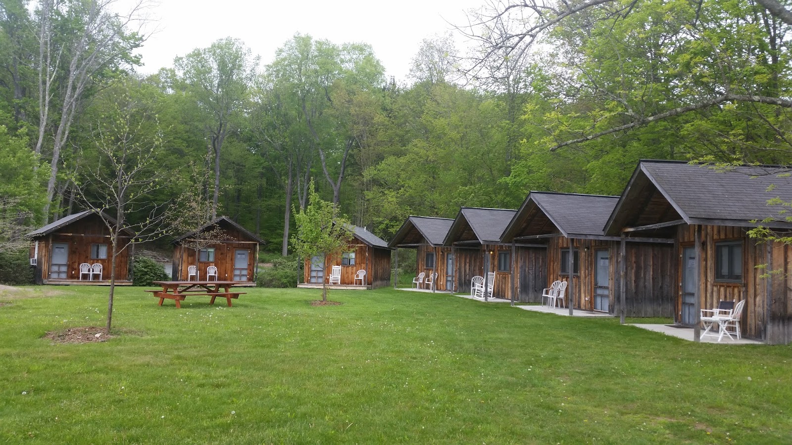 Cabins on campus