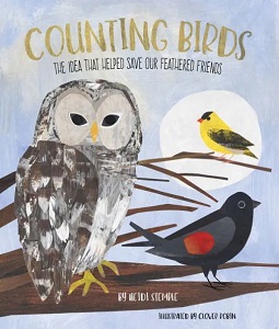 Counting Birds by Heidi EY Stemple