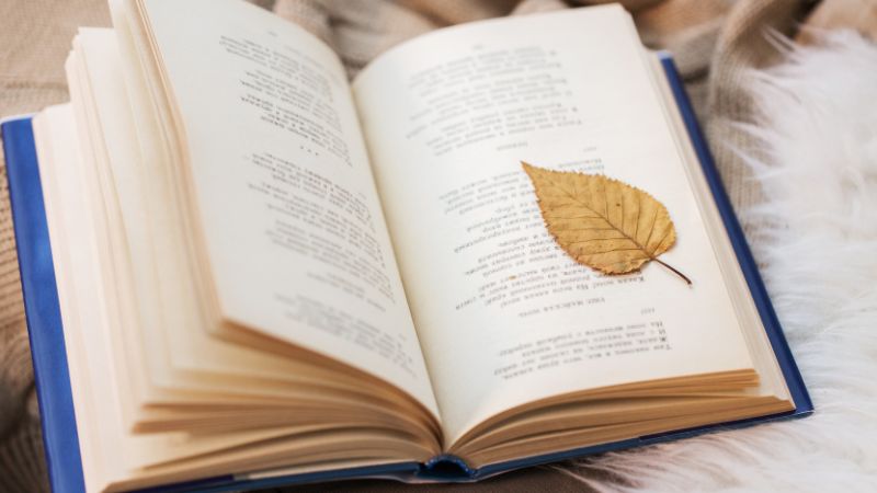 Photo: book with a leaf on the page