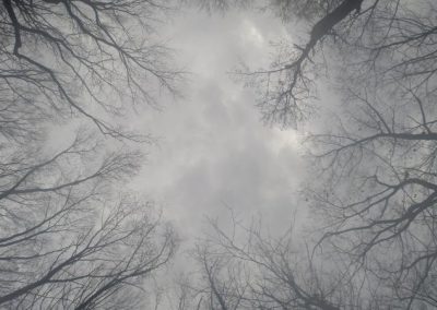 Why Horror: A Two-Part Mini on Haunted Tales for MG Readers