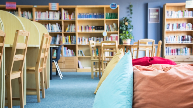 A photo of an inviting library.