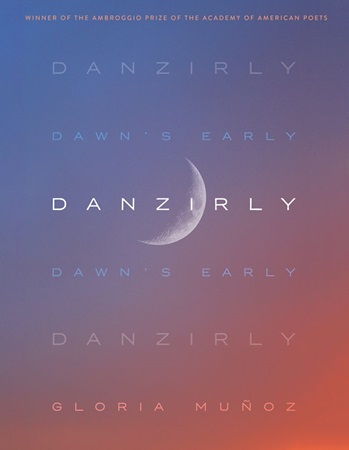 Book cover: Danzirly