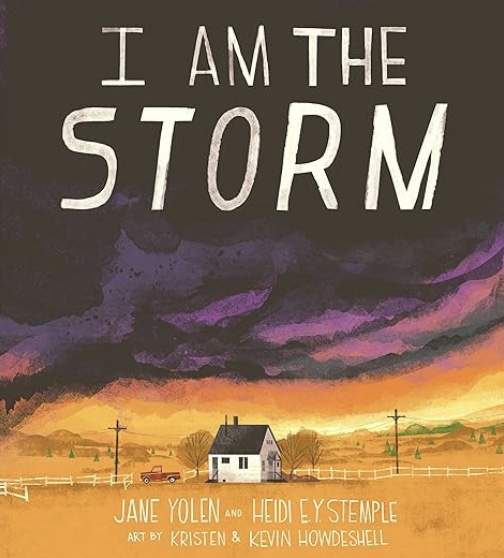 The cover of I Am The Storm