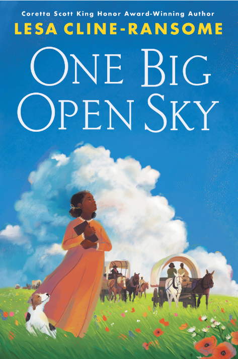Book cover; One Big Open Sky