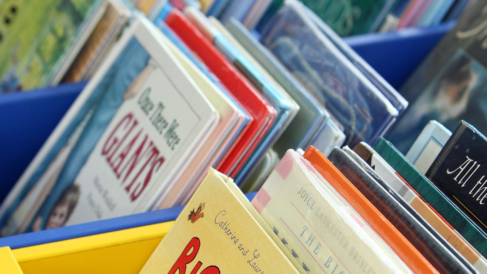 Photo of picture books in bins