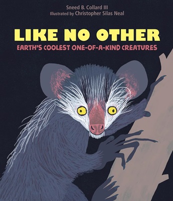 Book cover: Like No Other