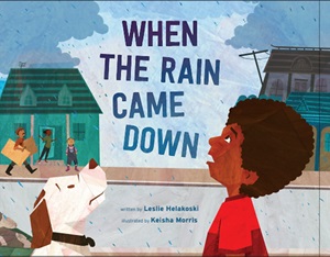 Book cover image: When the Rain Came Down