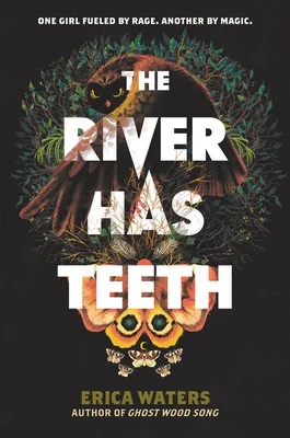 Book cover: The River Has Teeth