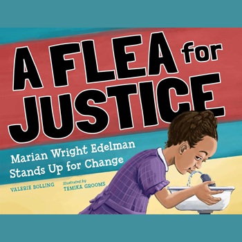 Book cover: A Flea for Justice