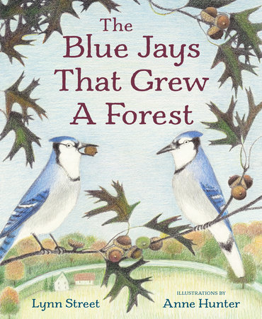 Book cover: The Blue Jays That Grew a Forest
