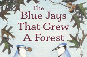 The Blue Jays That Grew a Forest: Celebrating a Book Birthday With Lynn Street