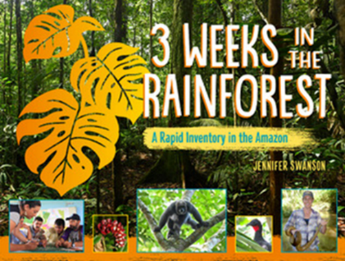 Book cover: 3 Weeks in the Rainforest