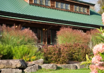 Early Readers and Chapter Books: A Creative Retreat