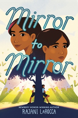 mirror Book cover image: Much Ado About Baseball