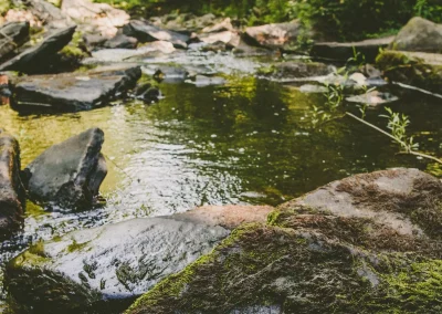 Spotlight on the Middle of Your Novel: A Generative Retreat