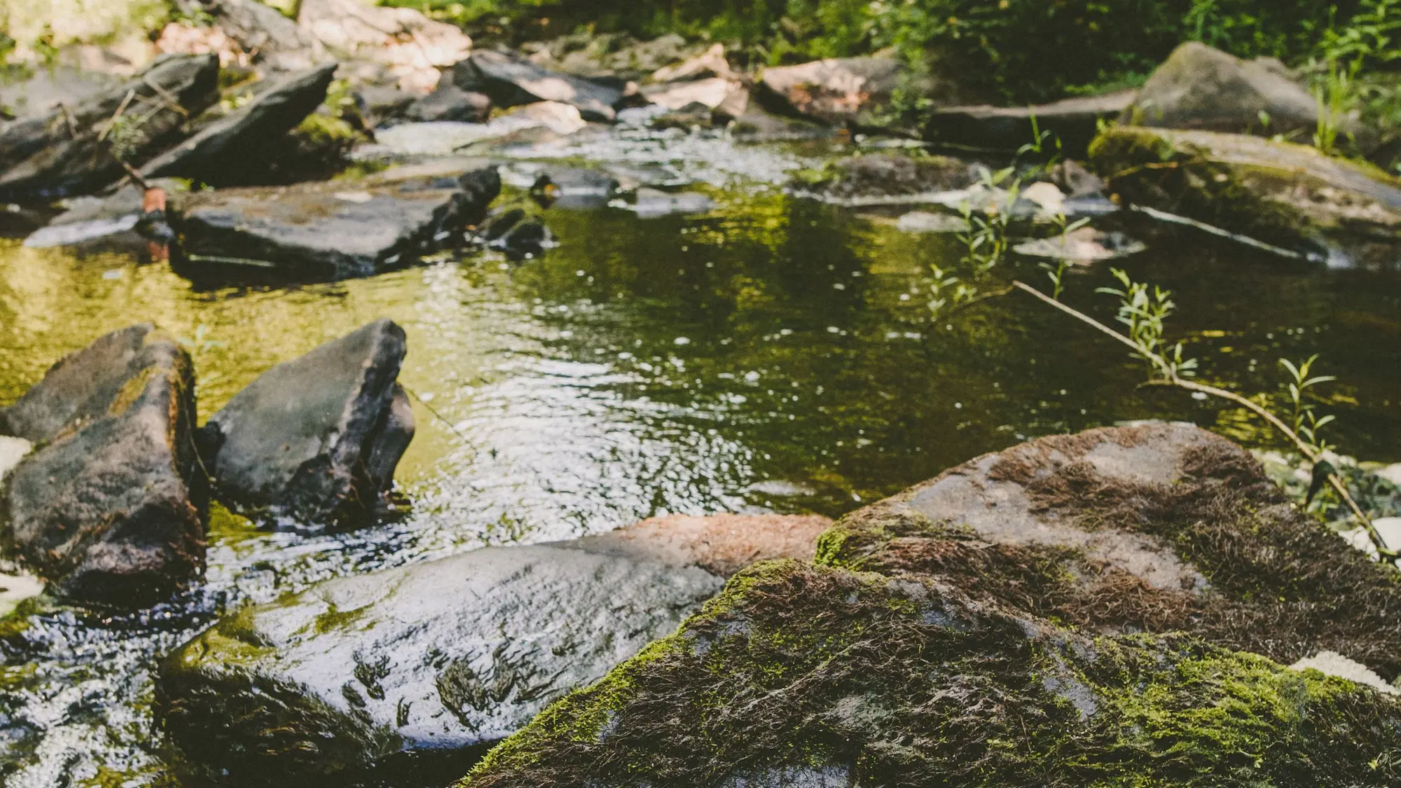 caulkins creek at boyds mills retreat center